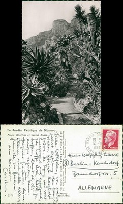 Monaco Jardin (Park) Exotique Aloès, Opuntias et Cereus divers 1952
