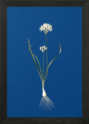 Gerahmtes Wandbild mit drei Ecken Lauch Poster Leinwanddruck Bild