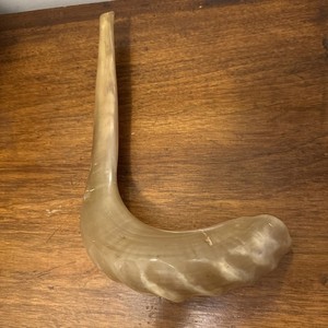 Large 12” Natural Ram Horn Shofar