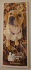 15 SHEET NOTE PAD CREATED BY GUIDIBG EYES FOR THE BLIND — photo 2