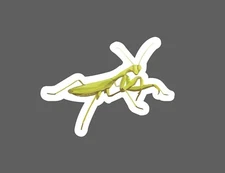 Praying Mantis Sticker Insect Waterproof Animal Outdoor Nature Gift NEW