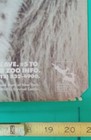 Vintage 1980's Art NYC Subway Train Bronx Zoo Lion Poster — photo 7