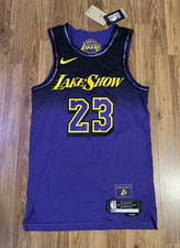 Nike NBA Los Angeles Lakers LeBron James #23 City Jersey Size 40 S Authentic  