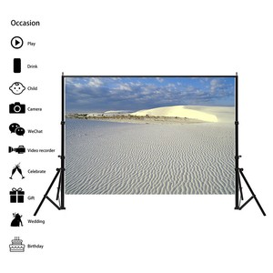 Scp 496 Winter Snow Photography Background Studio Backdrop Print