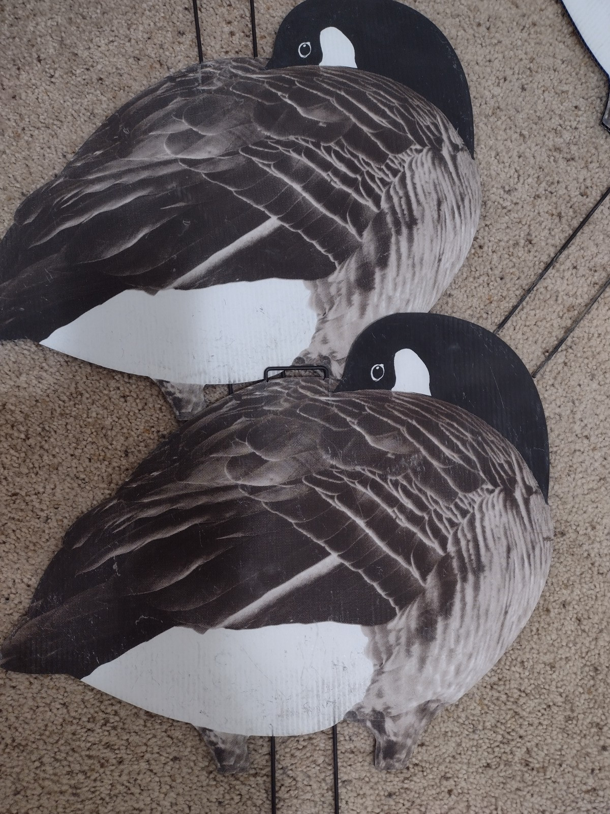 divebomb canada goose silhouettes thumbnail 6