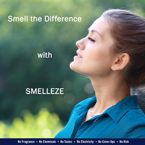 SMELLEZE Natural ROOM/House Odor Eliminator Deodorizer: 2 lb Granules - Imagen 7 de 7