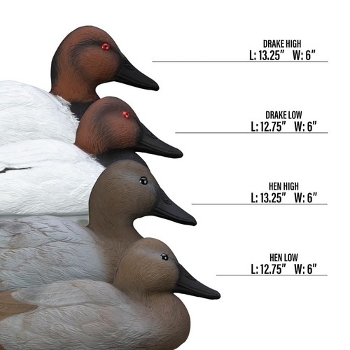 Higdon Outdoors Standard Canvasback Floater Duck Decoys | One Size, Multi - 第 8/8 張圖片
