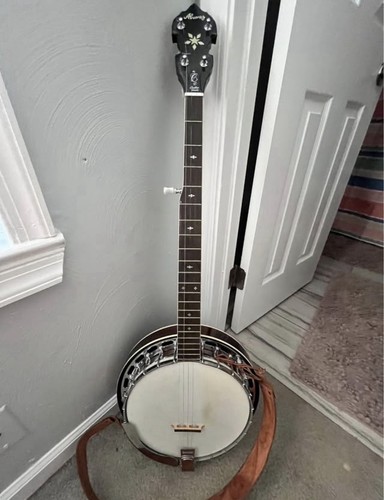 Alvarez 5-String Closed Back Banjo Gloss Finish with Case, Strings, Finger Picks