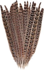 10 Pcs Long Pheasant Tail Feathers Natural Pheasant Feathers Floral Arrangeme...