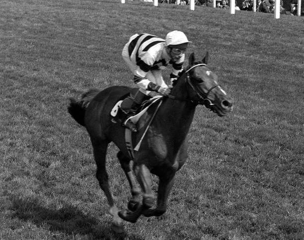 Horse Racing Jockey Lestor Piggett Riding Sagaro 1977 Old Photo Horse Racing Jockey Lestor Piggett Riding Sagaro 1977 Old Photo