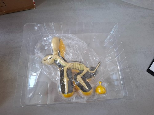 Whatshisname x Jason Freeny Mighty Jaxx Dissected Popek Figure Yellow 8’’ - Imagen 6 de 12