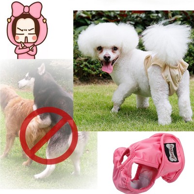 doggie pants for heat