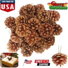 24  Christmas Natural Pine Cones Rustic Pinecones Bulk Xmas Ornaments Tree Decor
