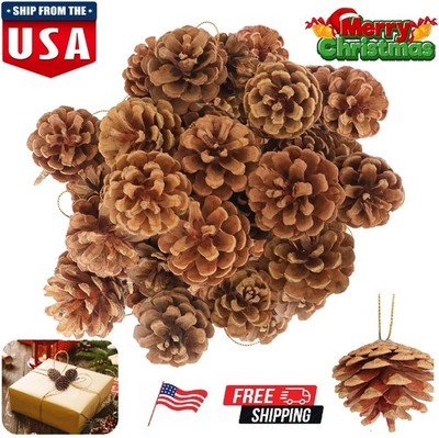 24× Christmas Natural Pine Cones Rustic Pinecones Bulk Xmas Ornaments Tree Decor