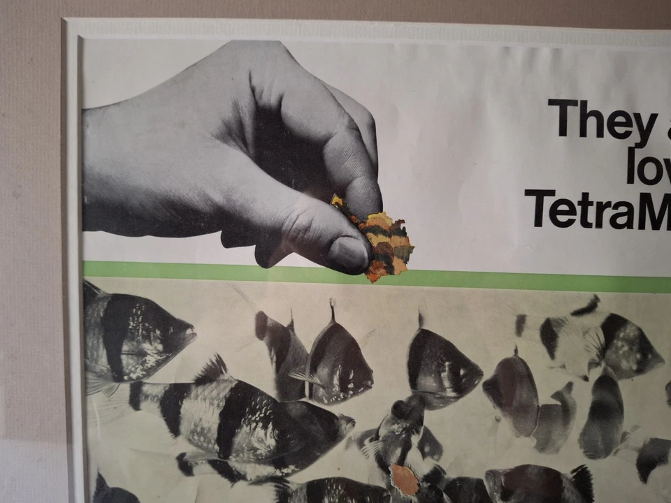Póster publicitario vintage de comida para peces Tetramin de acuario de los años 70 enmarcado y enmarañado Foto 4 de 4