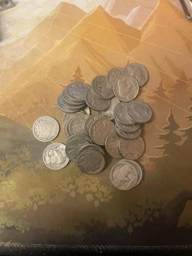 buffalo nickels lot