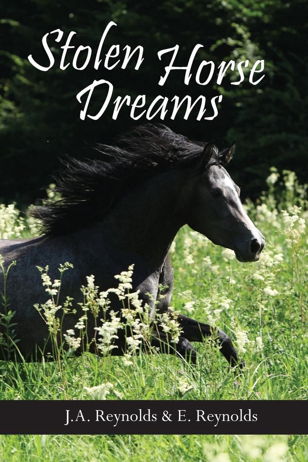 Stolen Horse Dreams by E.M. Reynolds (English) Paperback Book