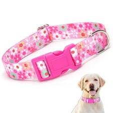 Pink Dog Collar Large, Pretty Flower Pattern Design Quick Release Buckle Soft...