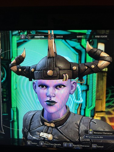PS/XBOX/PC Tiny Tina's Wonderlands TODOS LOS ACCESORIOS DE CABEZA COSMÉTICOS ENGRANAJES SKINS DLC - Imagen 12 de 55