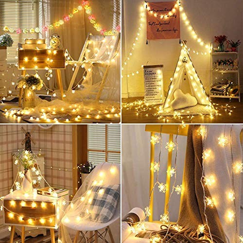 10ft 20 LED Snowflake String Lights Warm White USB Christmas Fairy ...
