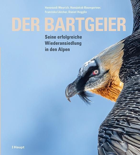 Der Bartgeier Hansruedi Weyrich