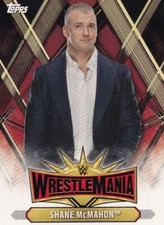 2019 Topps WWE Road to WrestleMania WrestleMania 35 Roster #WM16 Shane McMahon 