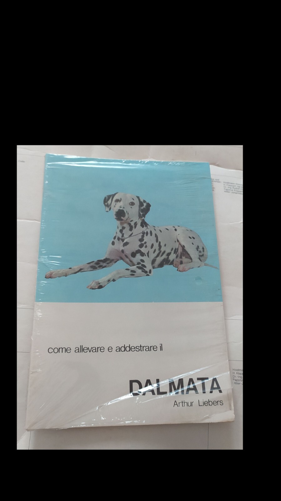 Foto 1 di 1
