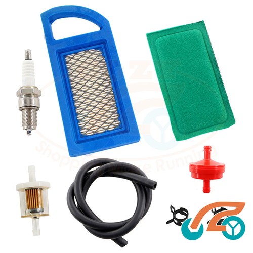 Filtro Aria Briggs & Stratton 698413 794421 | F.lli Manzoni - Foto 9