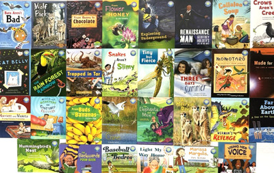 GRADE 3 READERS Homeschool Reading Books Fountas & Pinnell Curriculum 30 Books