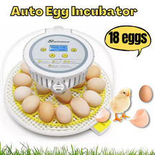 18 Egg Poultry Incubator for Hatching Chick Automatic Turning Egg Incubator