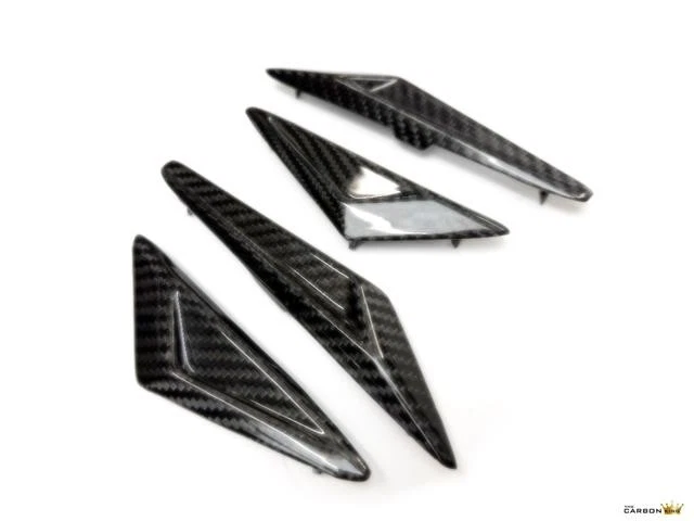 TRIUMPH STREET TRIPLE 675 DAYTONA 2013> ЗАДНИЙ ПОДРАМНИК ЗАПОЛНЕНИЯ КОМПЛЕКТ В САРЖИ УГЛЕРОДА - Изображение 3 из 4