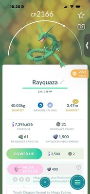 Pokemon Go Legendary Rayquaza (XXS) (Normal)