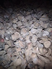 60 Lbs Range Lead For Making Bullion Ingots Bars Investment Defense