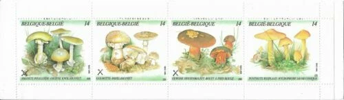 Sellos de Bélgica y sus colonias carnets