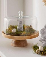 KäSeglocke Servierplatte Holzteller Rund Mango Holz & Glas Haube, Servier Brett