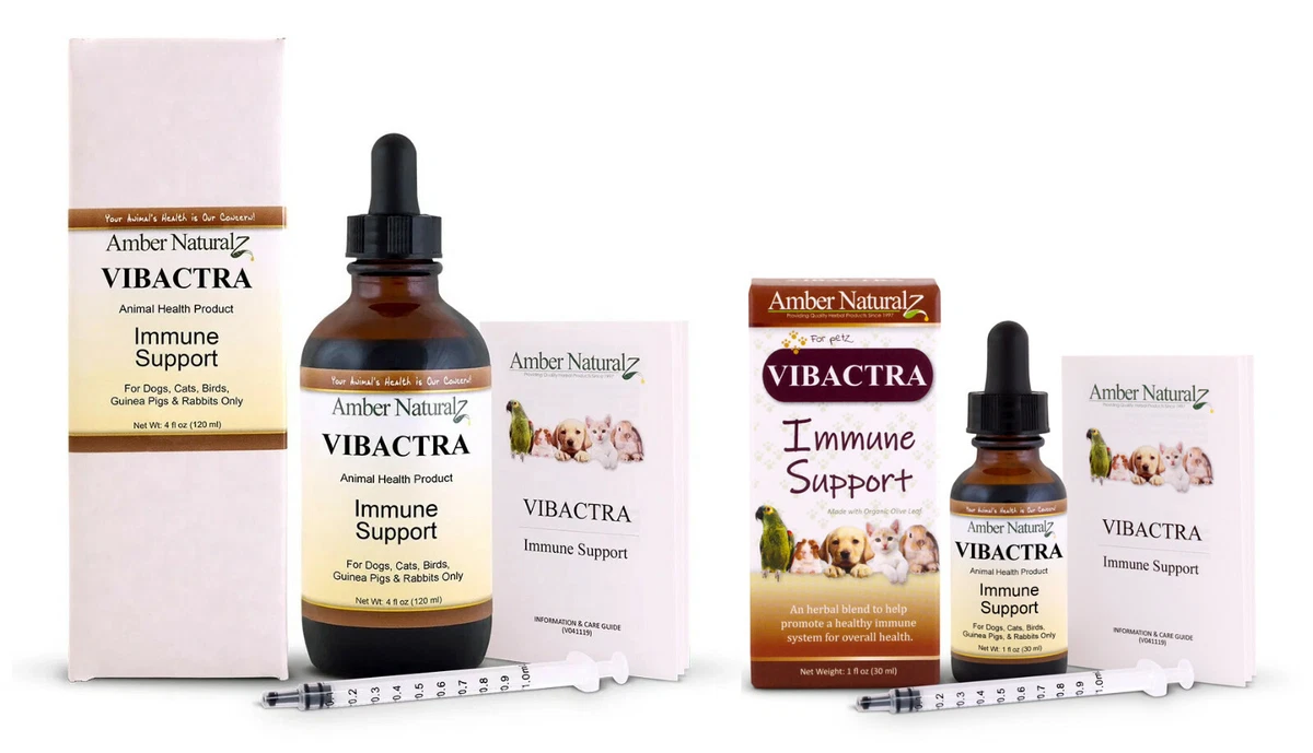 Vibactra cheap