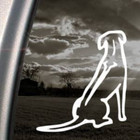 Rhodesian Ridgeback Dog White Sticker Decal Bumper Laptop Car White Sticker