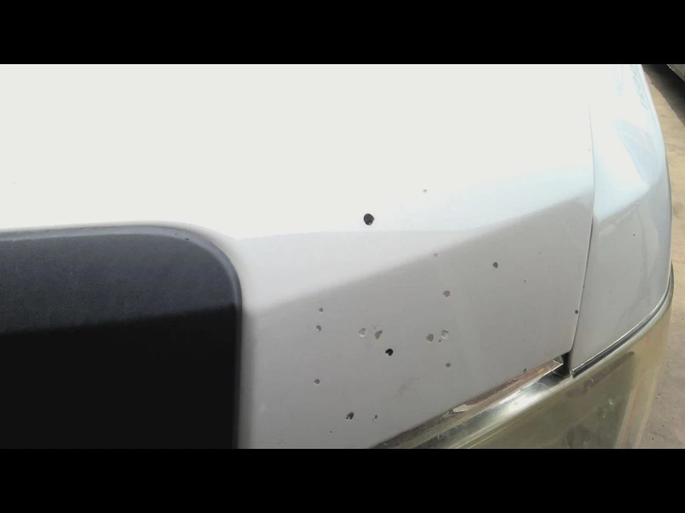 (LOCAL PICKUP ONLY) Hood Fits 09-14 FORD F150 PICKUP 697524 Foto 2 de 4