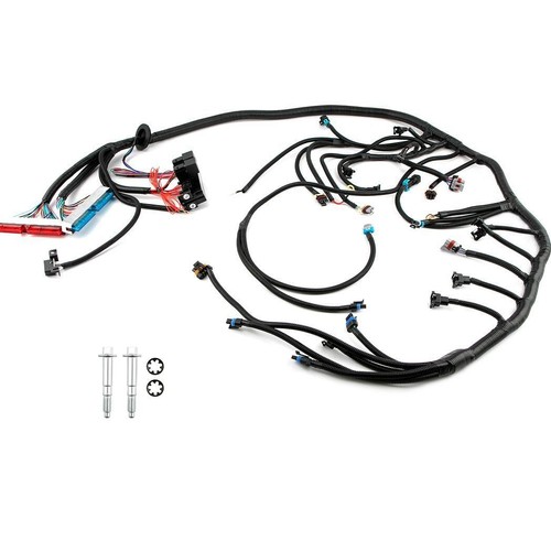 ???????? Faisceau de câblage autonome pour camion Ls avec T56 Th350 Th400 36" 1999 200 - Photo 2/7