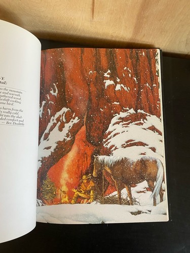 The Art of Bev Doolittle SIGNED 1990 HCDJ - Picture 14 of 16