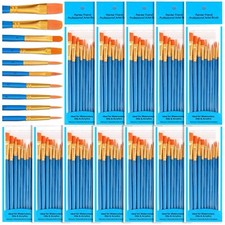 Paint Brushes for Acrylic Painting, 120 Pcs Paint Brushes Set Acrylic Paintin...