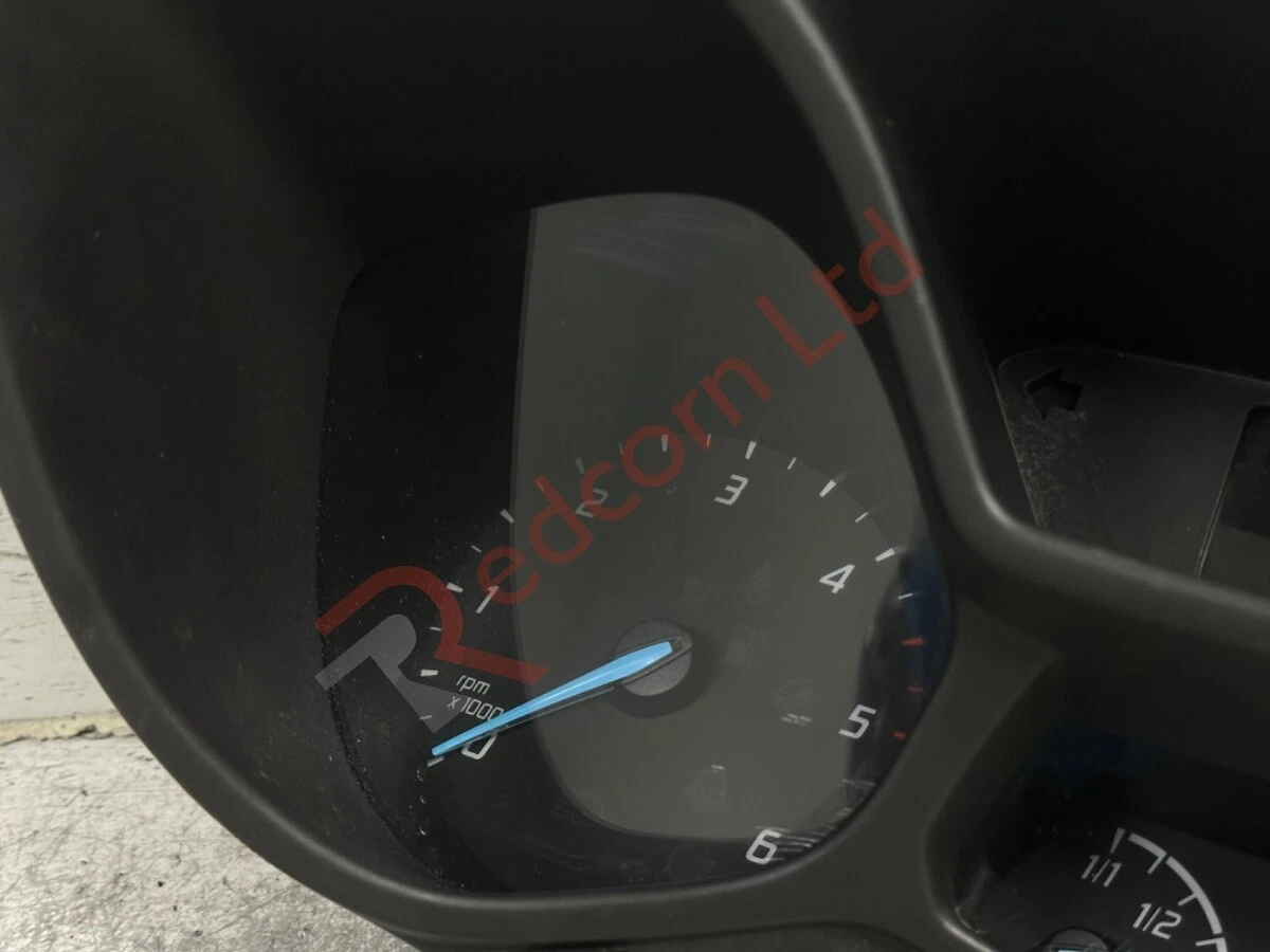 2019 speedo 2024