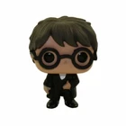 HARRY POTTER 2019 FUNKO POCKET POP ADVENT CALENDAR FIGURE HARRY POTTER TA1778
