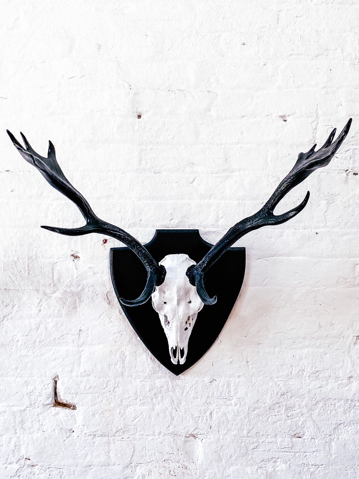 Black And White Antler And Skull Taxidermy Home Decor Monochrome Wall