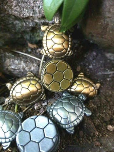 Tortuga Metal Hilandero de Mano Inquieto Adultos Juguetes Niños Pargo Tortuga Slowpoke 🤏 - Imagen 6 de 36