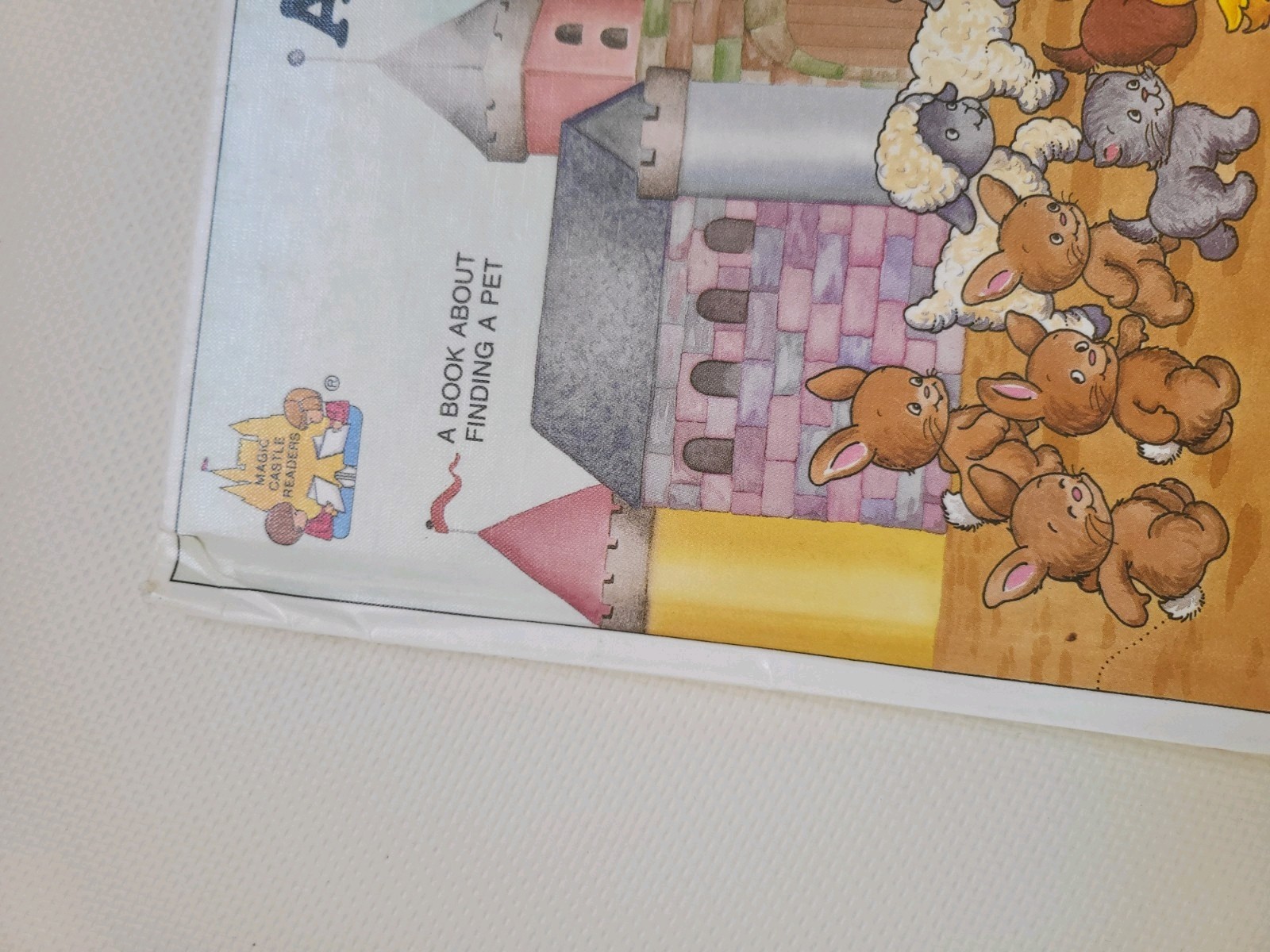 Bild 10 von 12