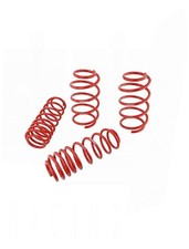 Skunk2 Racing Lowering Springs Suspension Kit for Honda FN2 Type-R 07-12 New
