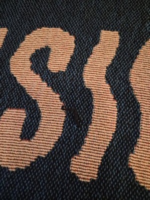 Coachella Valley Music & Arts Festival Woven Cotton Throw Blanket