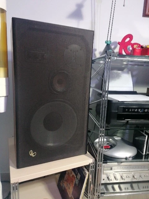 Casse Infinity Reference Studio Monitor Coppia HiEnd Vintage - Immagine 4 di 4