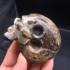 Natural Conch Ammonite Fossil Crystal Hand Carved Smoking Pipes Skull Healing